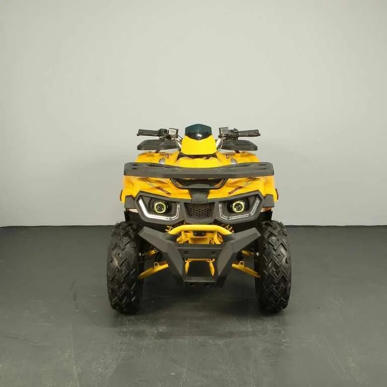 Avantis hunter big basic