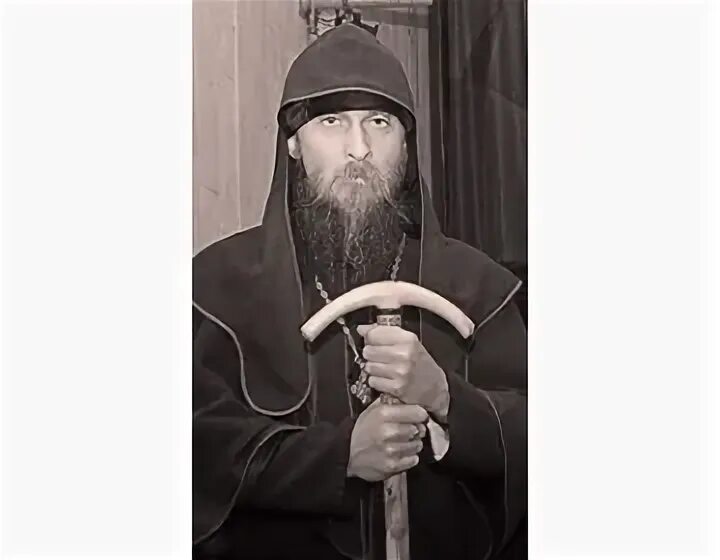 Т т сиверс. Т т сиверс