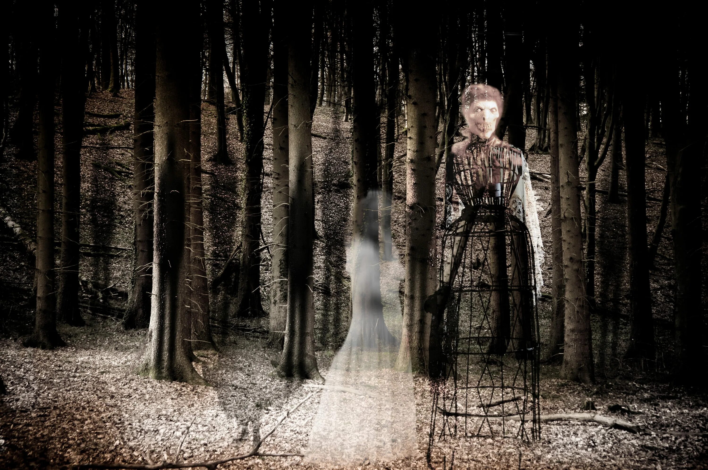 Страшно мистические истории из жизни. Натали Дормер лес призраков. Страх в лесу. Лес мистика.