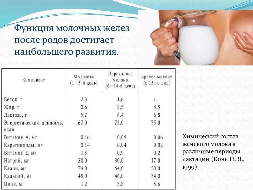 Сколько должно быть молоко. Состав молока женщины. молоко после родов. сколько молока в груди у женщины. функции молочной железы таблица.
