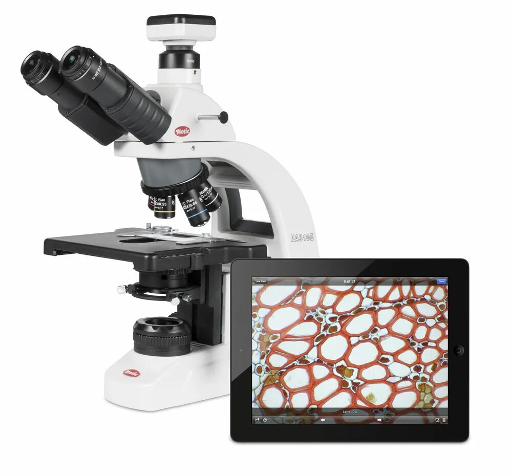 Microscope camera