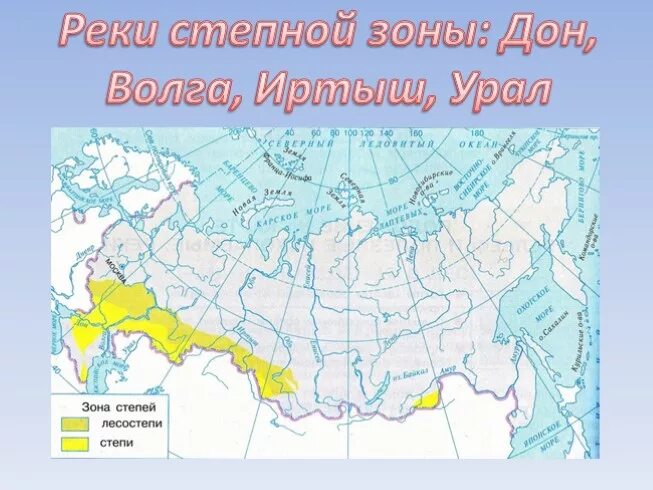 Расположение зоны степей 4 класс Где расположены степи