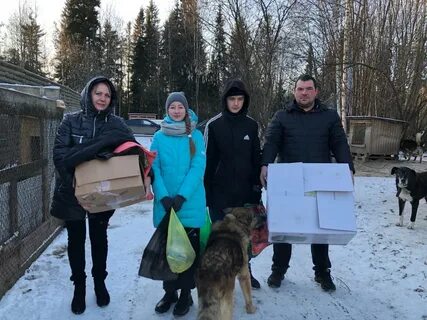 Дорогой добра приют