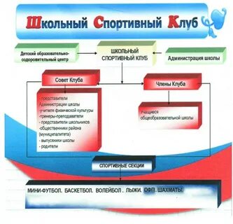 Программа спортивного клуба