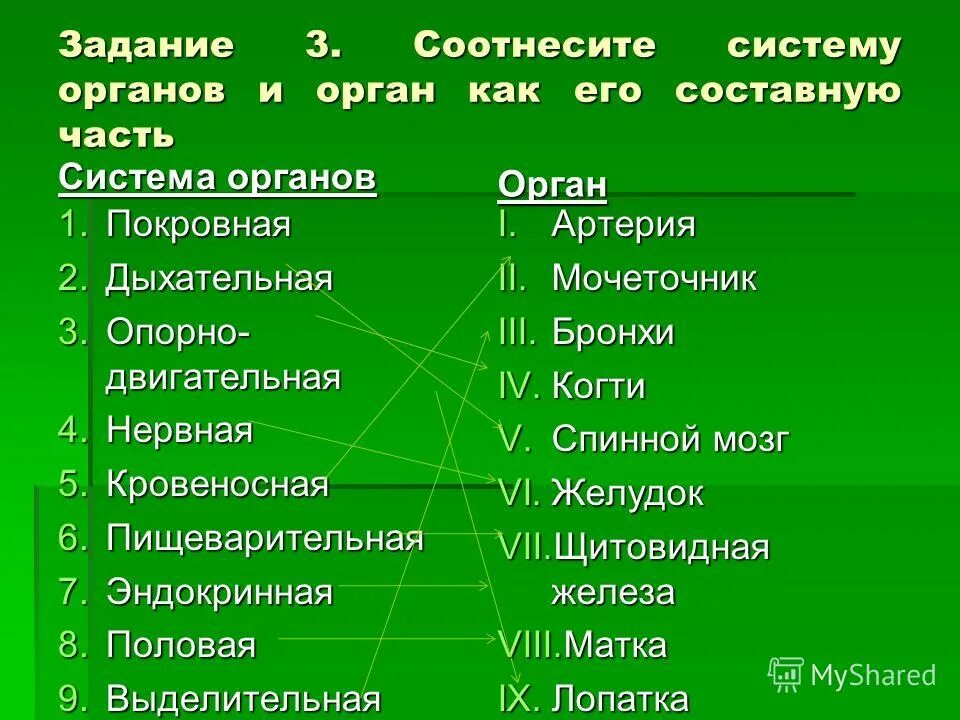 B 3 соотнесите. B 3 соотнесите. B 3 соотнесите. B 3 соотнесите. Славная революция в великобритании.
