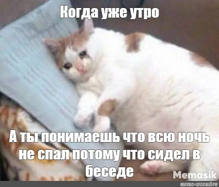 Почему по утрам хочется по большому. Толстый кот плачет. Толстый Плачущий кот Мем. Толстый котик плачет. Жирный кот плачет Мем.