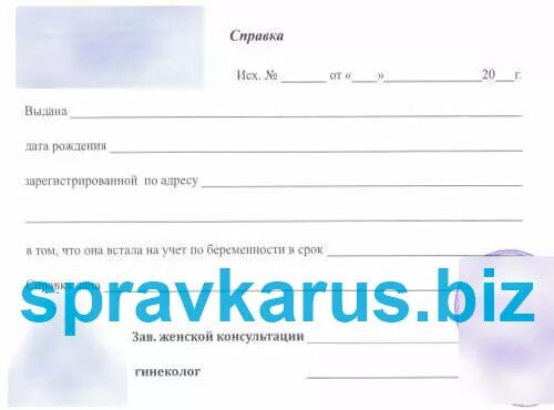 Справка о беременности из женской консультации. Справка с женской консультации о беременности. Справка о беременности из женской консультации с печатью. Справка о беременности из женской консультации 2022.