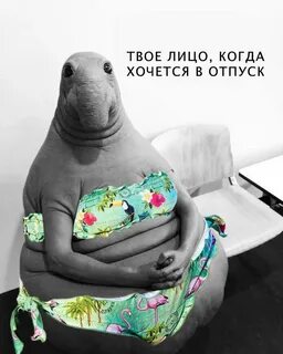 Сижу жду когда выйдет из душа потом