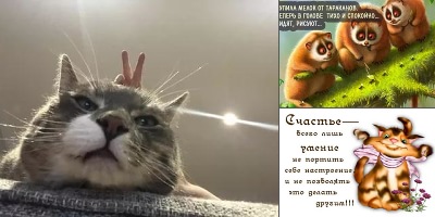 приколы для настроения