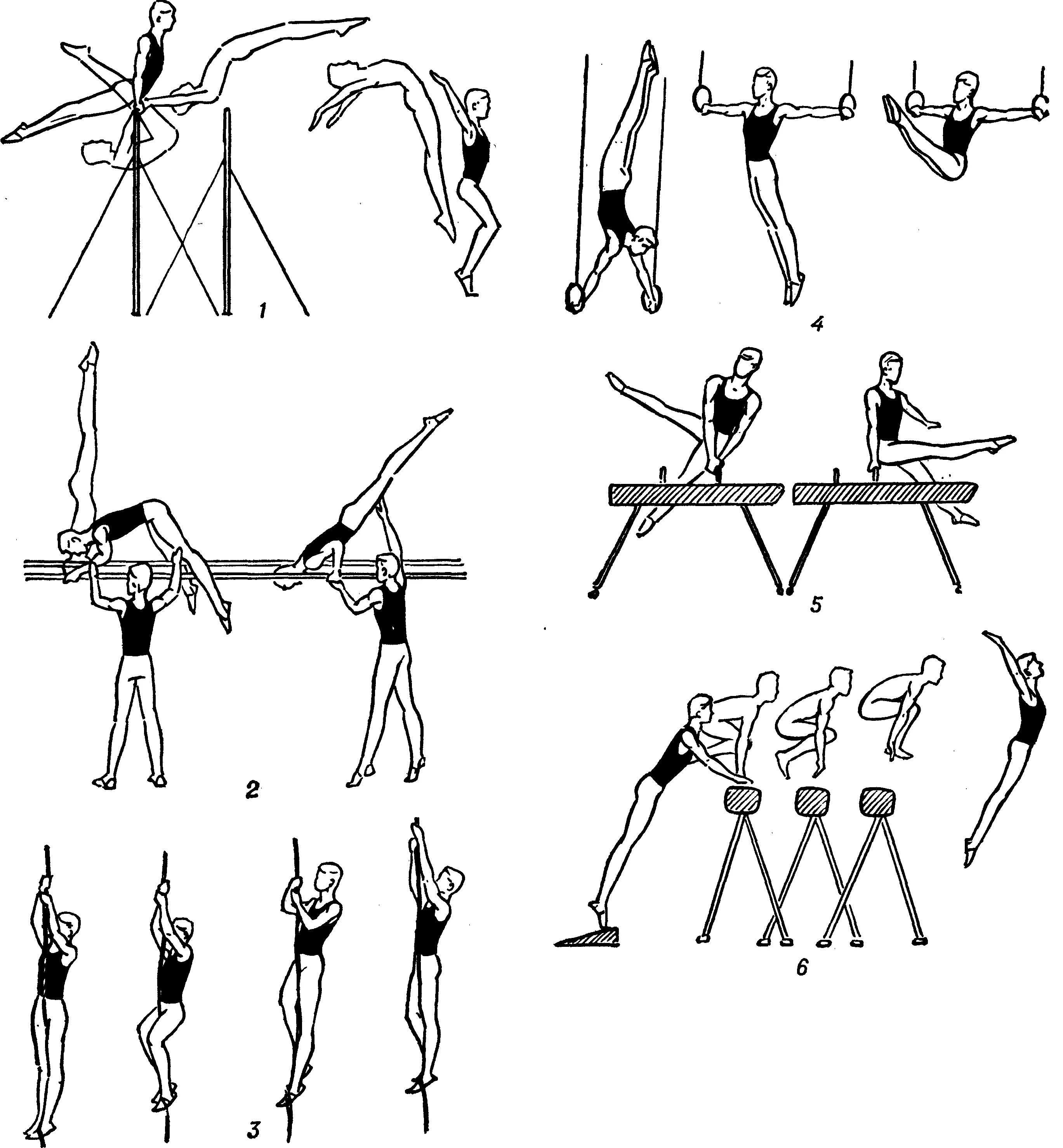 Виды упражнений в спортивной гимнастике. Упражнения на гимнастической перекладине. Гимнастические упражнения элементы. Упражнения для гимнастов. Упражнения на спортивных снарядах.