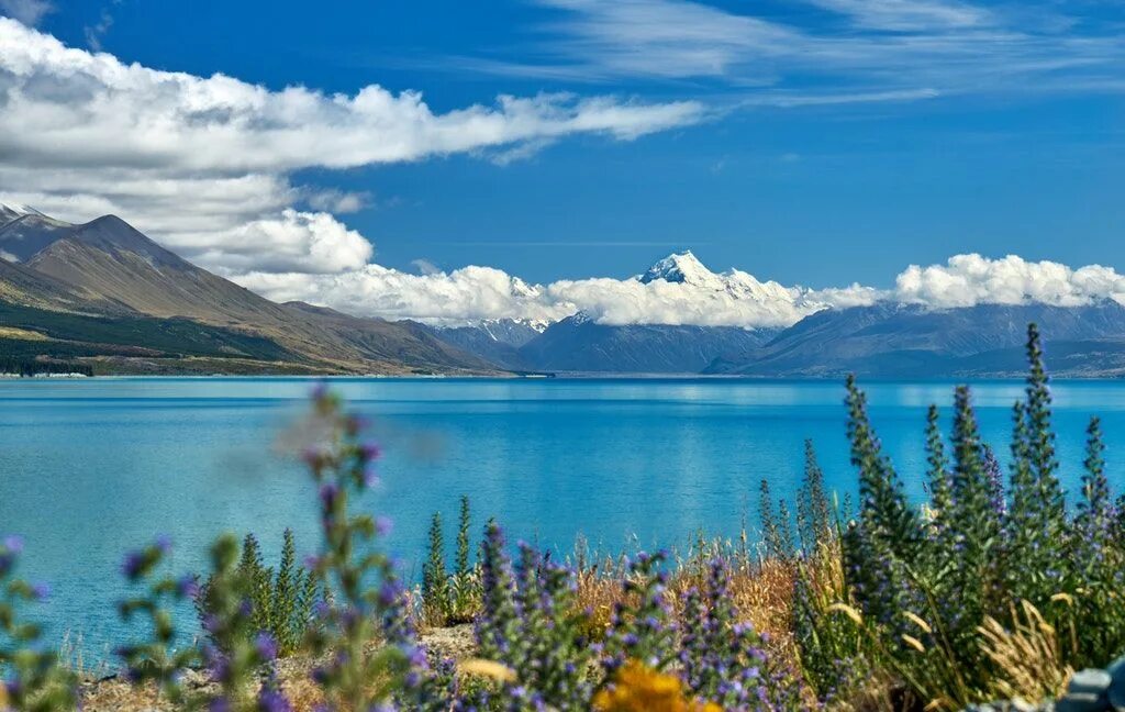 Новая зеландия 7 класс. Озеро пукаки Lake Pukaki. Пукаки новая Зеландия. Озера новой Зеландии. Гора Кука и озеро пукаки.