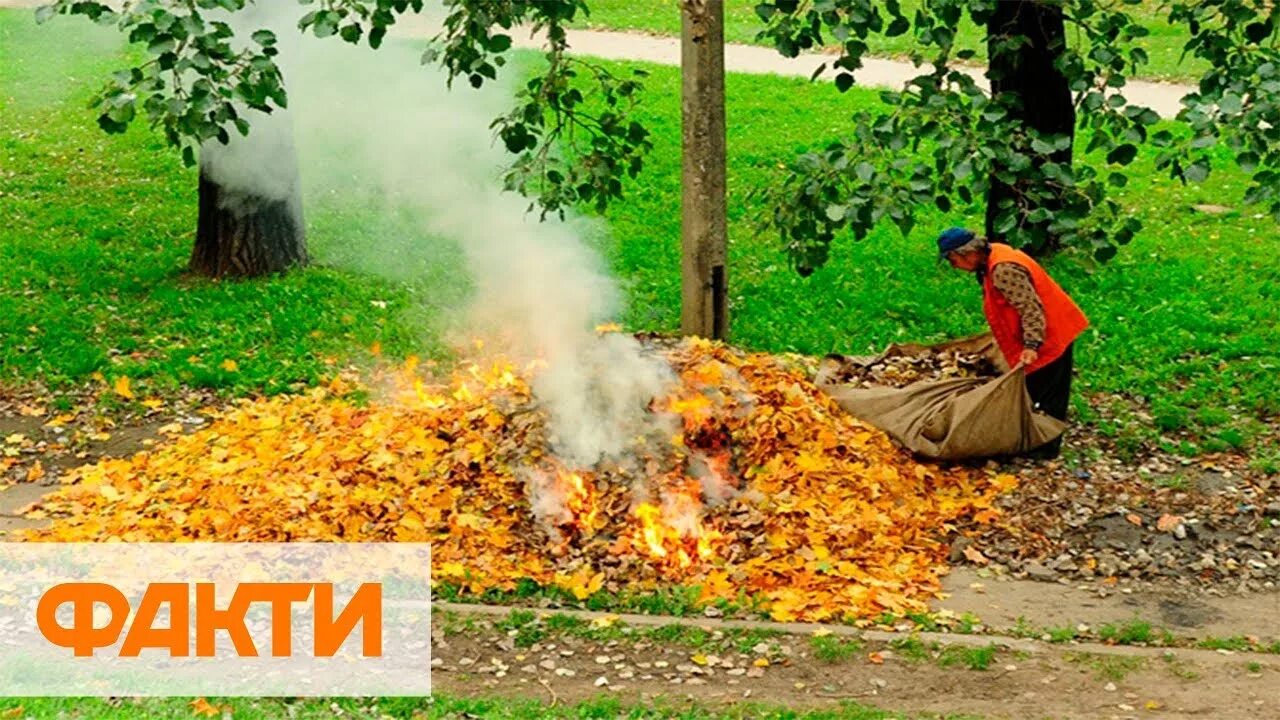 Жжет листья как правильно
