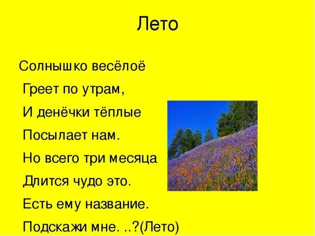 Загадка про год. Загадки про лето. Загадки о лете для детей. Загадки на тему лето короткие. Загадка со словом природа