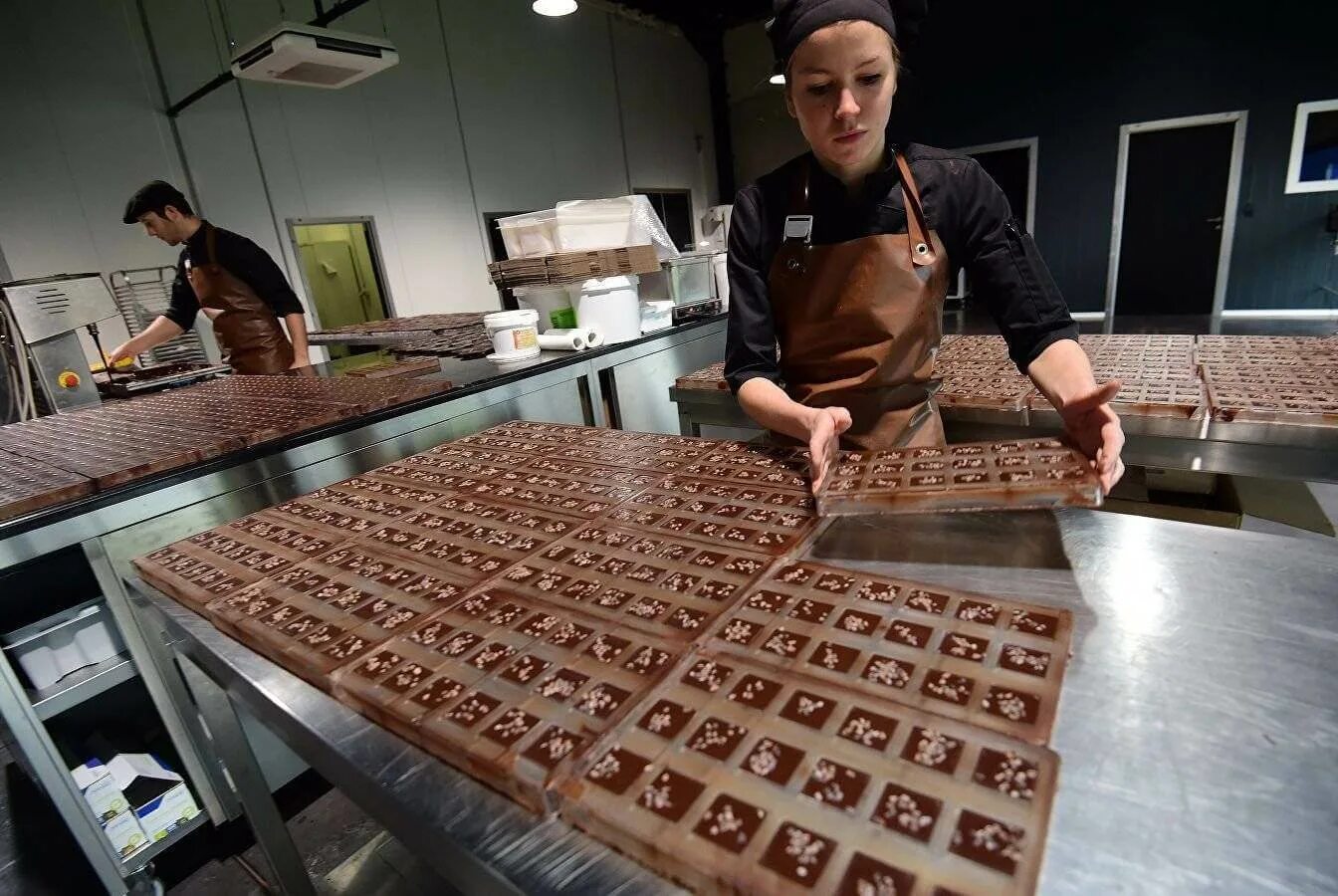 Технология шоколада. Производство шоколада. Фабрика шоколада. Шоколадный завод. Формовка шоколада.