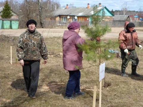 Смоленская область деревня замыцкое. Погода в смоленске. Темкино смоленская область. Деревня вязьма. Прогноз погоды смоленская область нарытка.