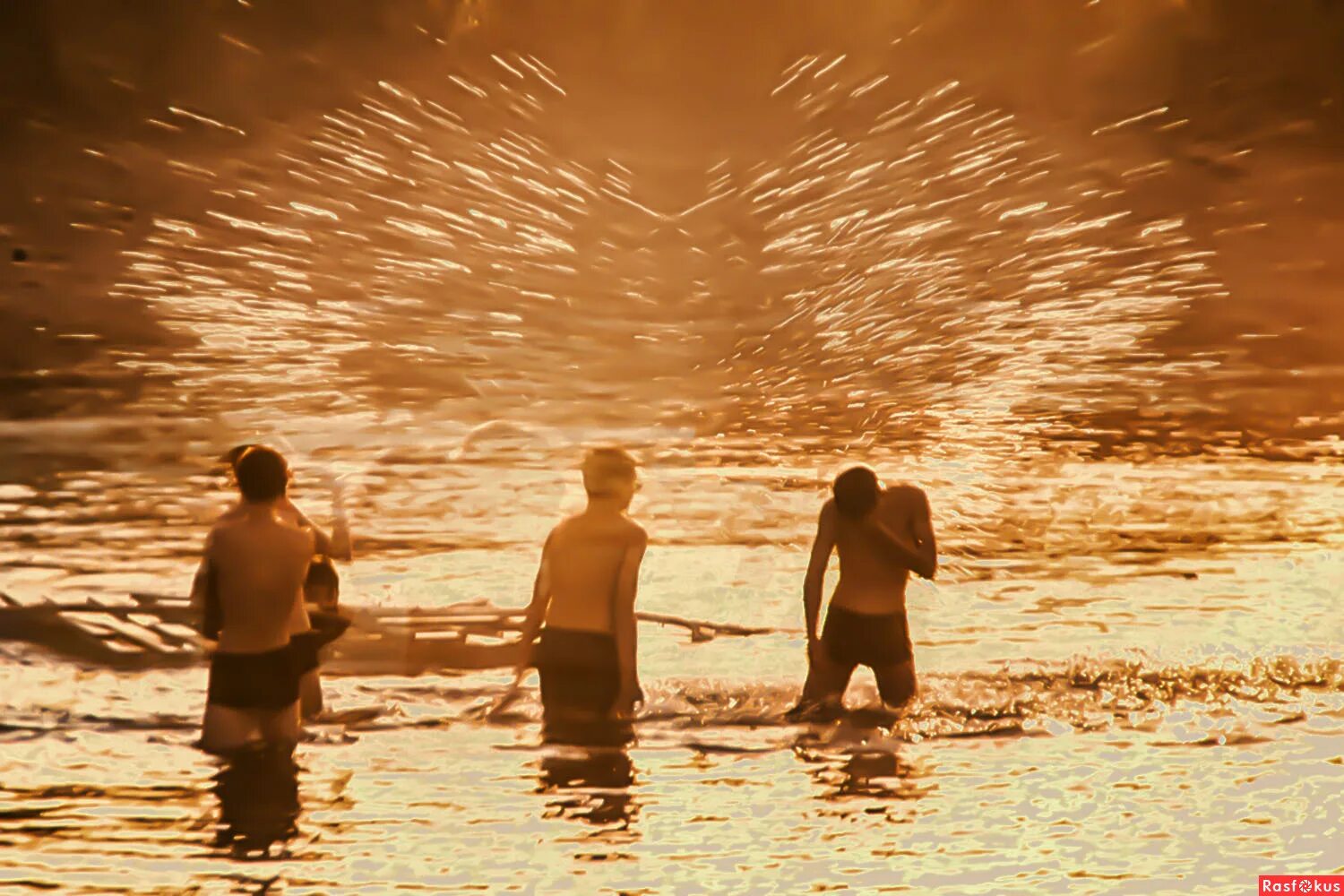 Рассвет летом. Пылающее лето. Огненное небо. Пылающее лето. Солнечный цветок.