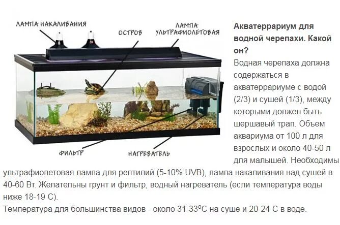 Каким должен быть аквариум. Сколько нужно воды для красноухой черепахи. Красноухая черепаха сколько нужно воды в аквариуме. Объем воды для красноухой черепахи в аквариуме. Схема террариума для красноухой черепахи.