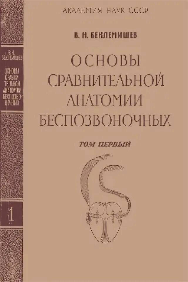 Анатомия беспозвоночных догель. Книга. Основы сравнительной анатомии беспозвоночных. Основы сравнительной анатомии животных. Сравнительная анатомия животных книги.