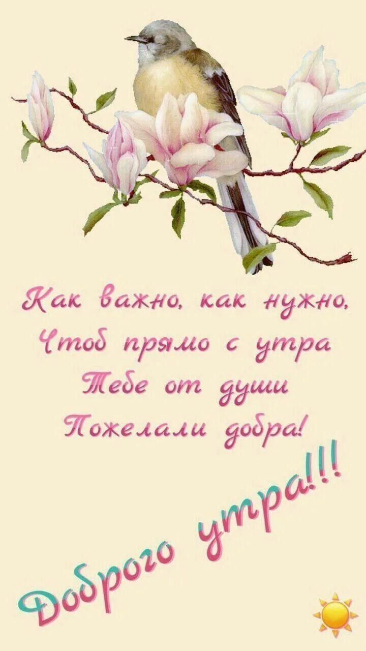 Пожелания доброго утра картинки бесплатно православные Pin on доброе утро)) Tea cups, Good morning, Glassware