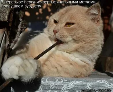 Ничего такого подобного