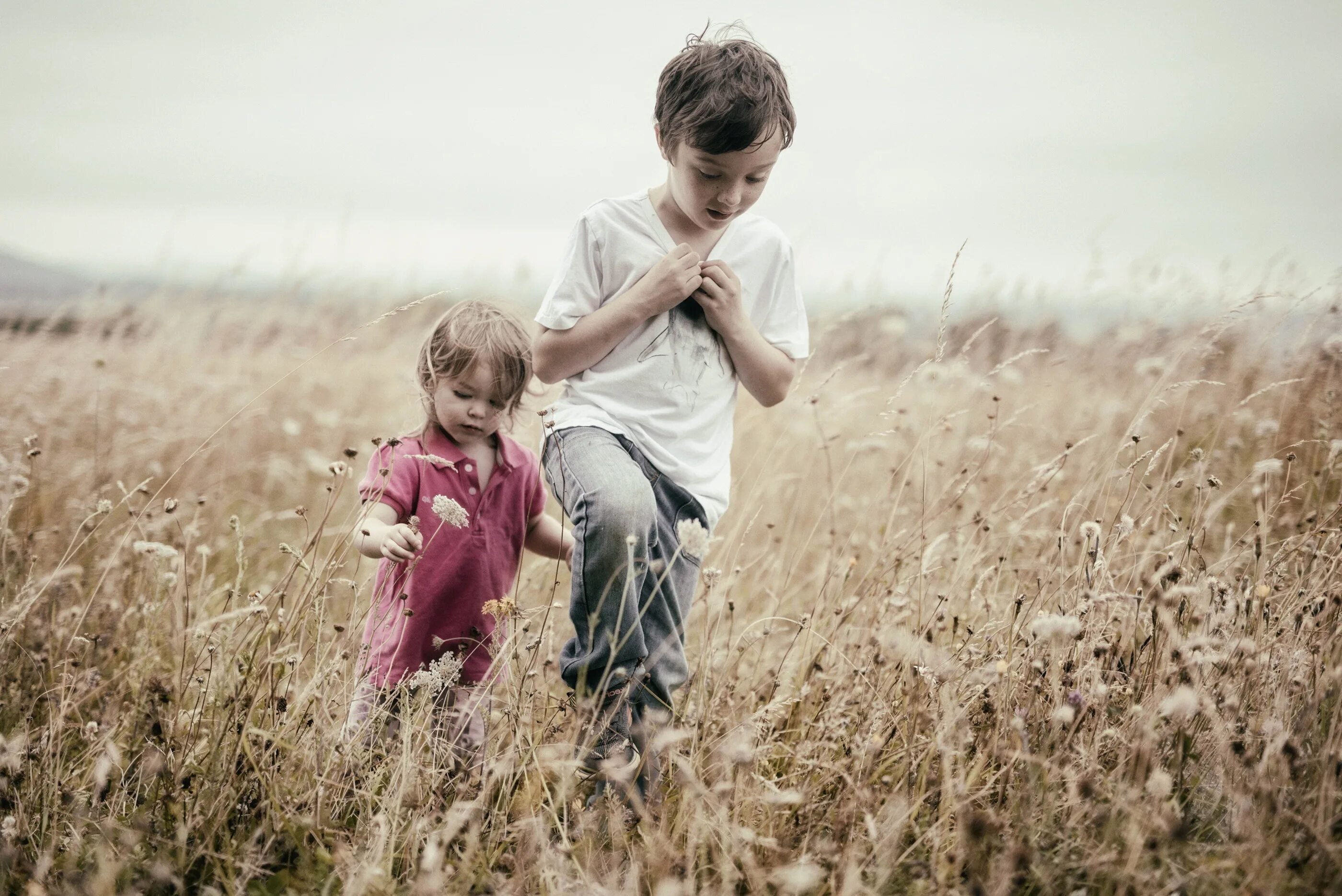 Field children. Мальчик в поле. Дети бегут в поле. Мальчик и девочка в поле. Мальчик бежит в поле.