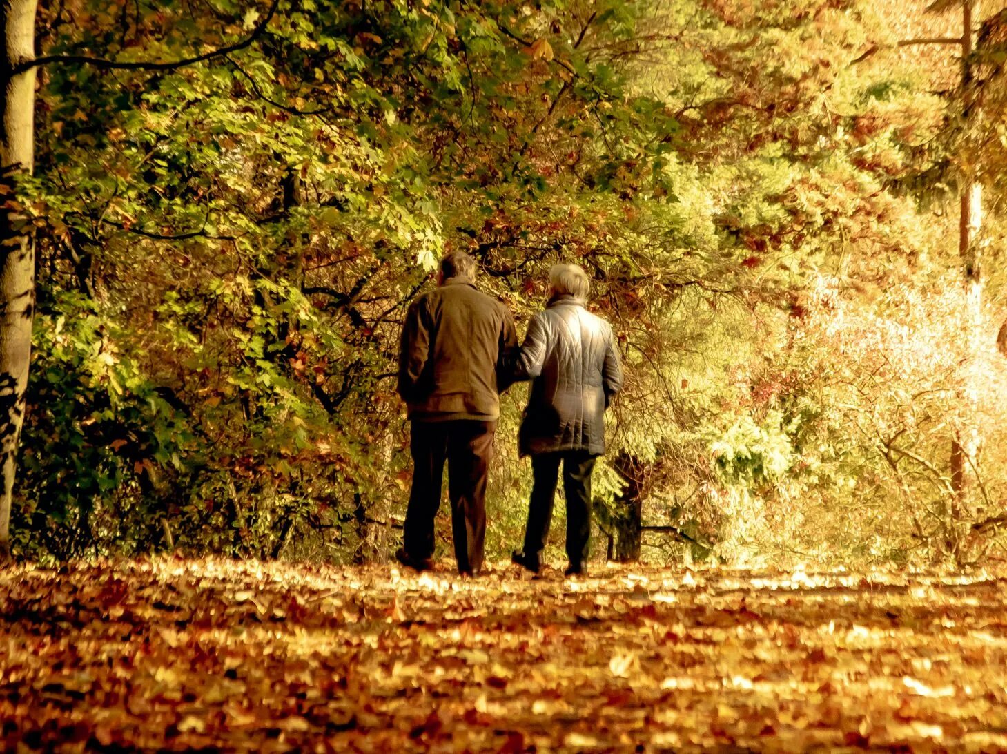 Жизнь человека осенью. Осенний Возраст. Пожилые люди осень. ,,Золотая осень,, старости. Серебряная осень.