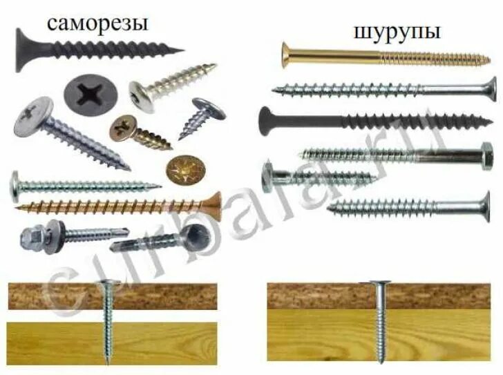 Винт от шурупа. Винт болт шуруп саморез отличие. hll00283 болт саморез. болты шурупы саморезы отличия. шуруп 10х100.