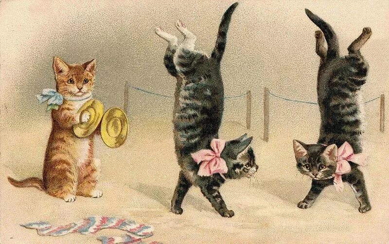 День уважения кошки картинки прикольные. Винтажные открытки с кошками. Открытка "кот". Открытки с изображением кошек. Открытки с кошками прикольные.