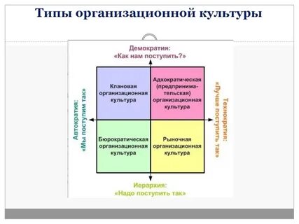 Виды организаций культуры
