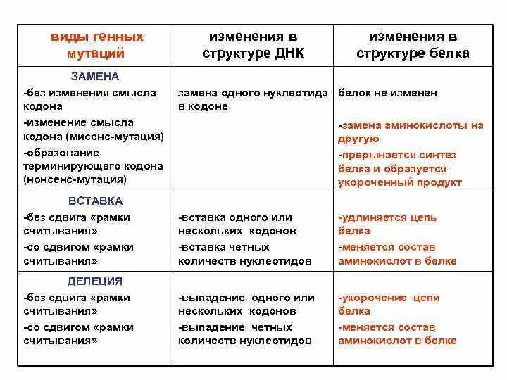 Мутации ДНК виды. Виды структурных мутаций. Типы генных мутаций. Тип мутации изменяет первичную структуру белка.