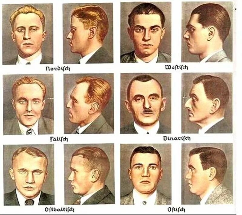 Немецкая расовая теория. Нордид немец ариец. Расовые типы европы ганс гюнтер. Расовые типы европы ганс гюнтер. Фальский тип (фалид, дало-фалид).