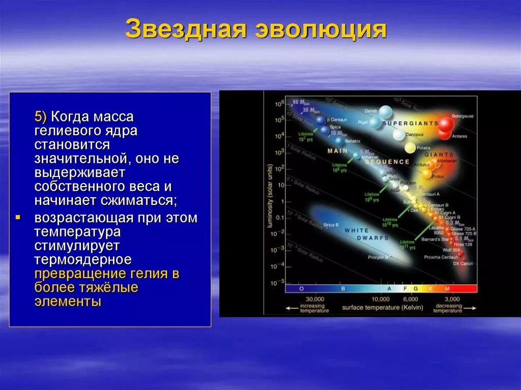 Эволюция звезд астрономия 11