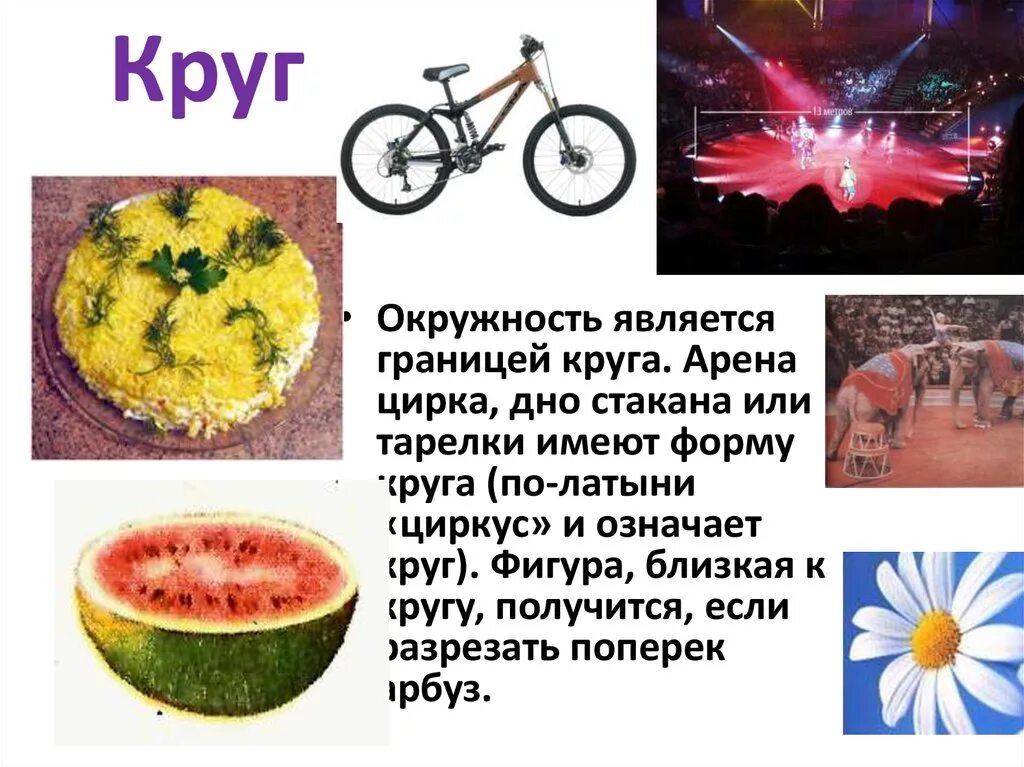 Что имеет форму круга. Окружность вокруг нас. Окружность и круг вокруг нас. Геометрия вокруг нас. Круги вокруг нас презентация.