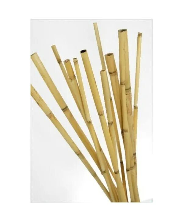 Бамбуковое полотно с нитью ламели 5 мм натур. Палочки бамбуковые. Бамбуковые палки в ванной. Бамбук срез. Бамбуковая 12.