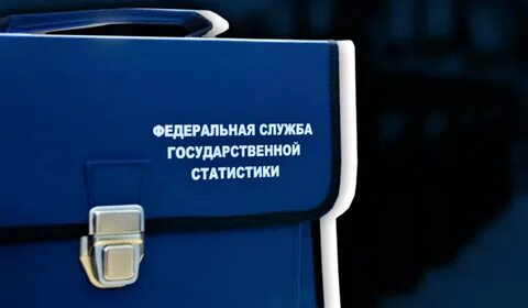 Году федеральная служба государственной статистики