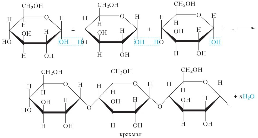 Строение молекулы крахмала и целлюлозы. Синтез крахмала формула. Амилоза крахмала формула. Образование молекулы крахмала. Строение крахмала химия.