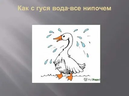 Род слова гусь