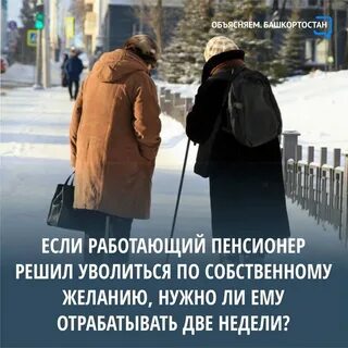 Пенсионер отрабатывает 2 недели или нет