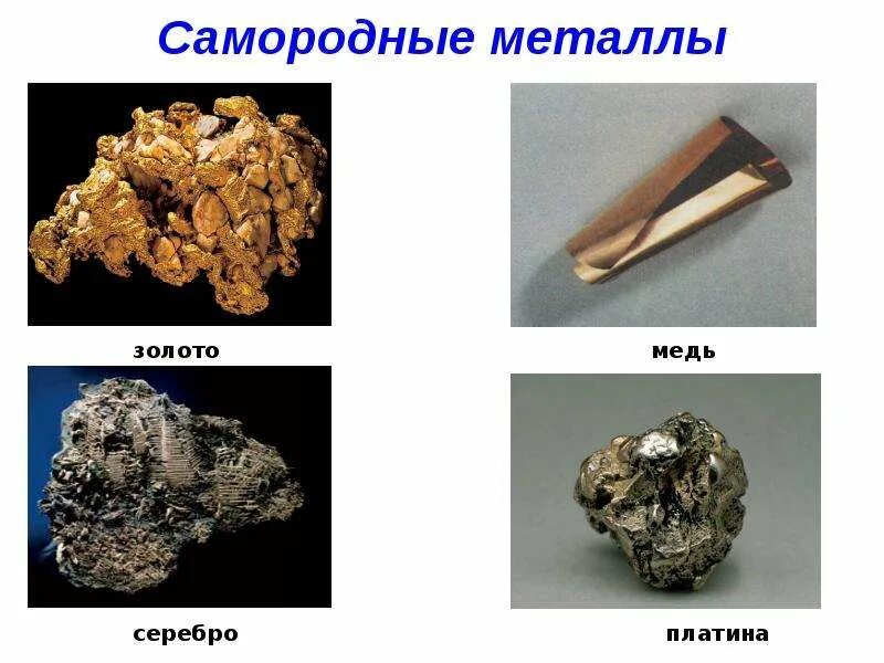 Самородки меди золота серебра. Металлы 1в медь серебро. Самородки золота серебра платины. Самородки металлов в природе. Химическое соединение золота