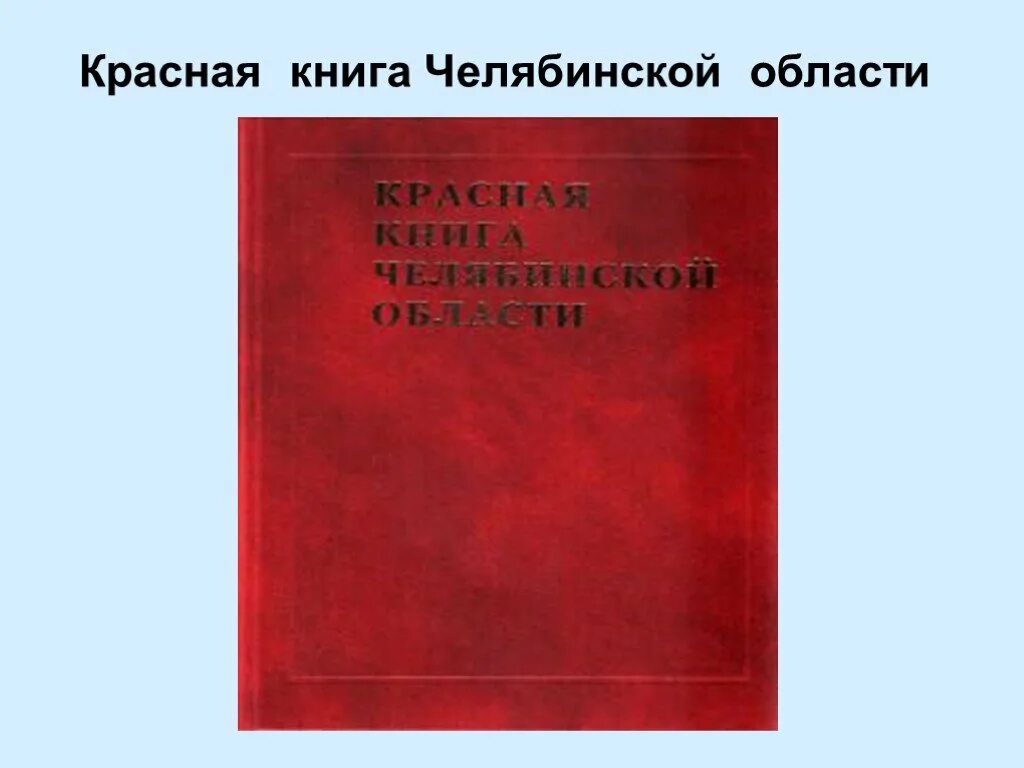 Красная книга. Мерц б. Обложка книги черная с земля. 365 дней 3 часть аудиокнига слушать онлайн. Красная книга челябинской области книга.