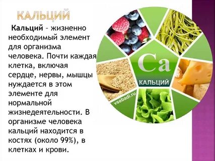 Какова роль кальция в организме