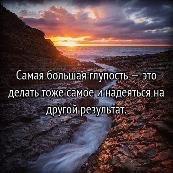 Сафарли цитаты. Делать тоже самое и надеяться. Цитаты про ожидание нового. Мы сами делаем свою жизнь. Делаю больше ожидаемого.