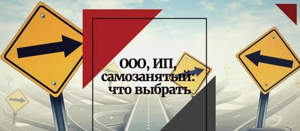 Самозанятый и ип отличия. ООО ИП или самозанятый. ООО ИП самозанятость. Самозанятым ООО или ИП. Различие ИП И самозанятых.