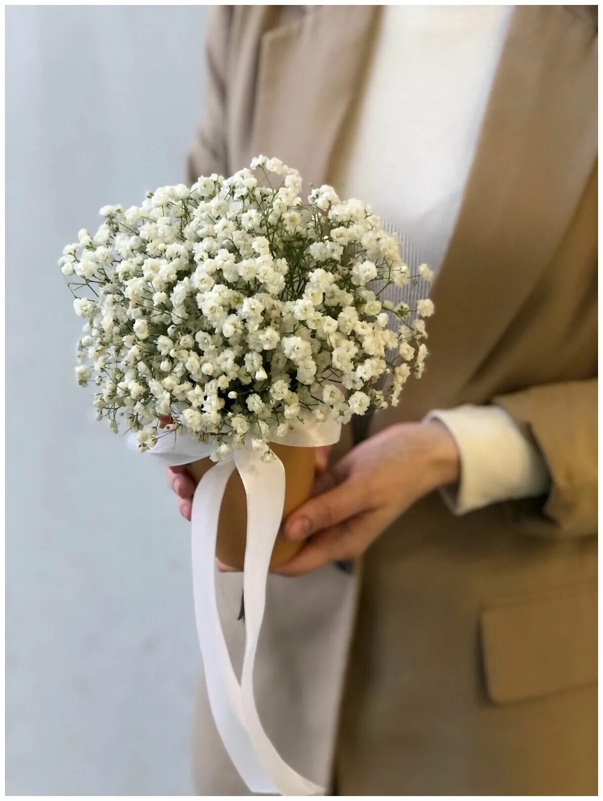 гипсофила махровая белая. Gipsofila flower. гипсофила колор. дарят ли гипсофилы. алиса гипсофилы.