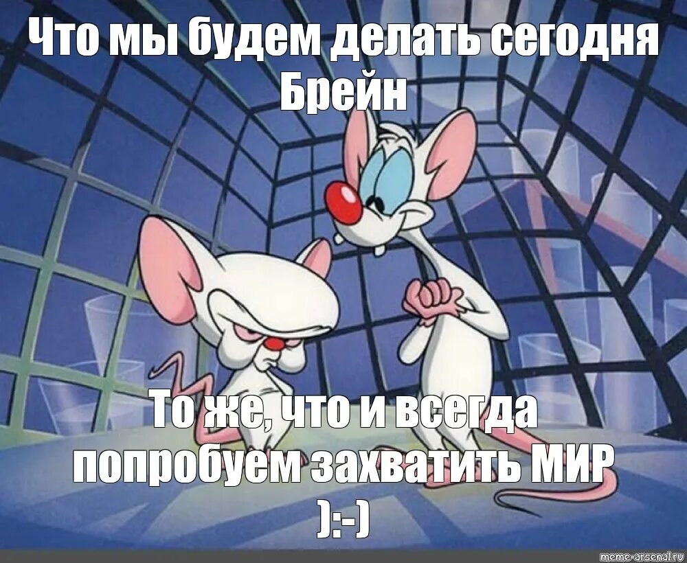 Какие захватить мир. Пинки и брейн захватить мир. попробуем захватить мир. пинки и брейн девочка. пинки и брейн пытаться захватить мир.