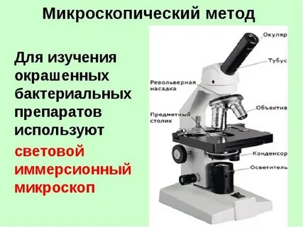 Исследование под микроскопом как называется