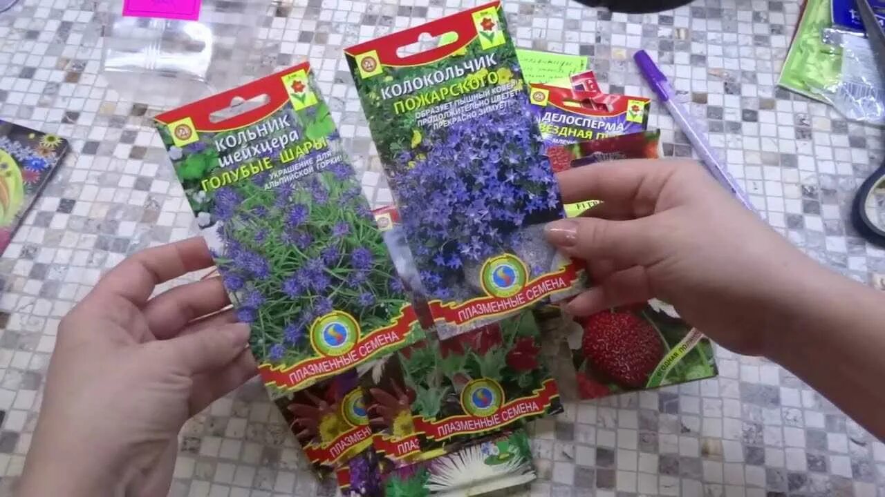 Стратификация семян список растений. Сроки стратификации косточковых таблица. Цветы требующие стратификации семян. Стратификация семян таблица. Стратификация семян древесных растений.