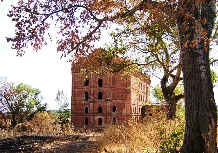 Адамовская мельница. Адамова мельница в Ливнах. Адамовская мельница Ливны. Адамова мельница Орловская область город Ливны. Адамовская мельница Орловская область.