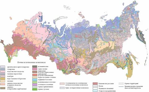 Горные территории почва