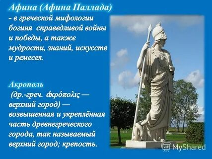 Афина шаховская отзывы